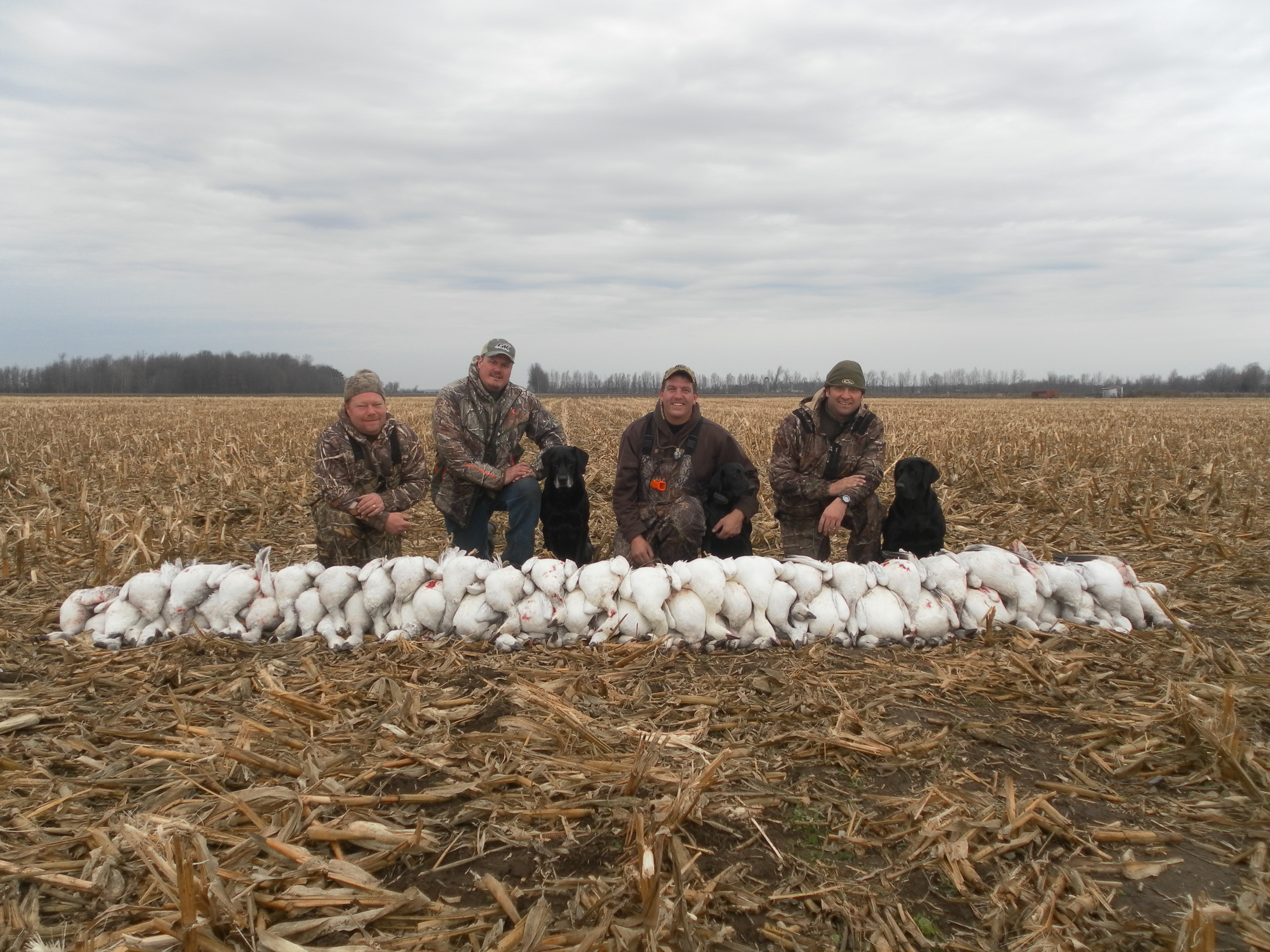 Waterfowl Hunting St Lawrence Outfitters